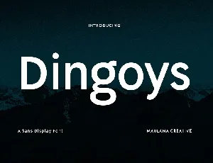 Dingoys Sans font