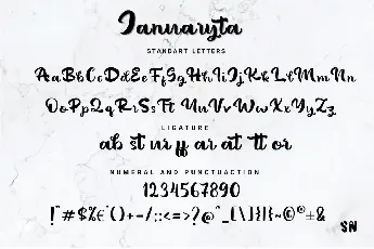 Januaryta font