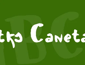 vtks Canetao font