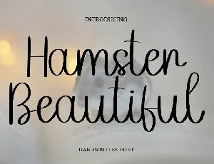 Hamster Beautiful font