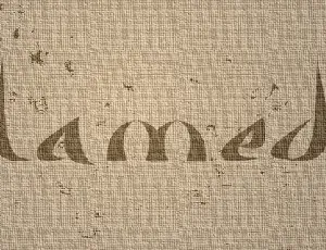 Alameda font