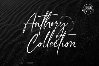 Anthery Collection Script font