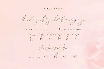 Angelica Boutique font