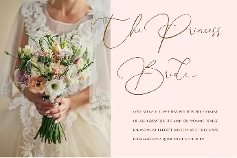 Angelica Boutique font