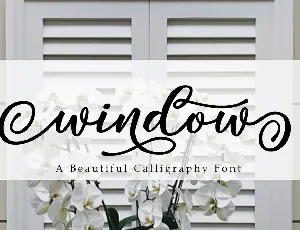 Window font