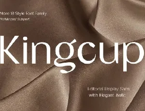 Kingcup Family font