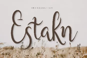 Estakn font