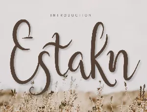 Estakn font