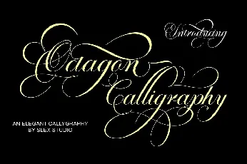 Octagon Calligraphy font