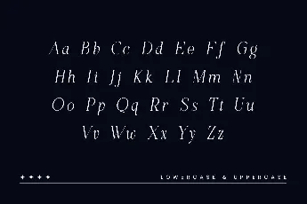 Nauka font