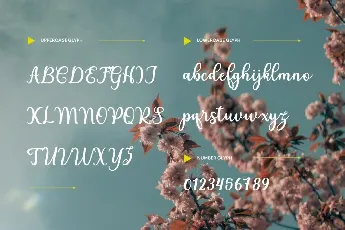 janetha font