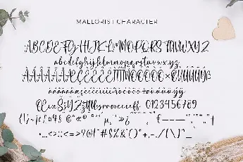 Mallorist Modern Calligraphy font