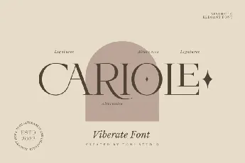 Viberate font