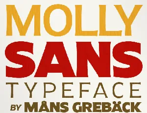 Molly Sans PERSONAL font