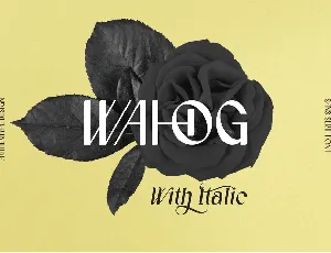 Wahog font