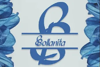 Bollanita Calligraphy font