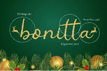 Christmas Ink font