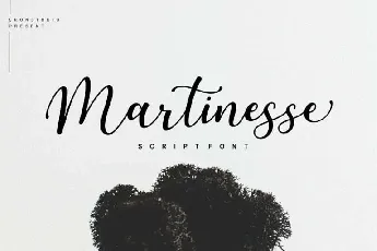 Martinesse font