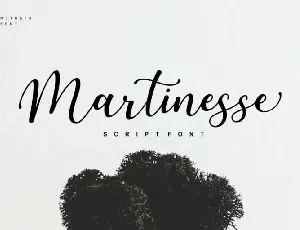 Martinesse font