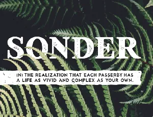 Sonder Family Free font