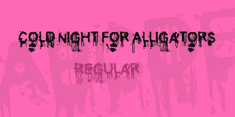 Cold Night for Alligators font