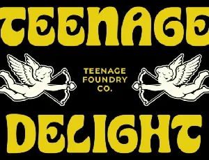 Teenage Delight font