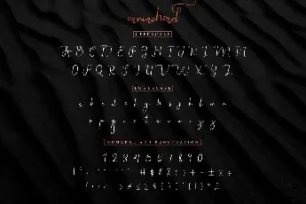 Canvashead Demo font