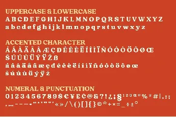 Raspberie font