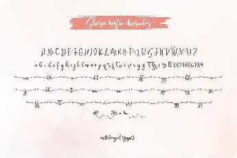 Shorin Bestie Calligraphy Script font