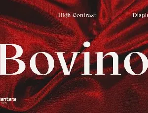 Bovino Trial Serif Family font