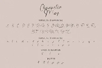 The Angellica Calligraphy font