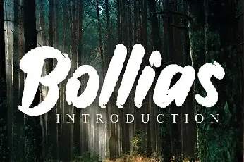 Bollias Brush font