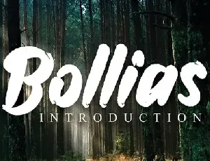 Bollias Brush font