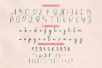 Fanish Signature font