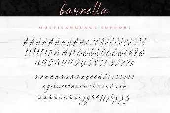 Barnetta Demo font