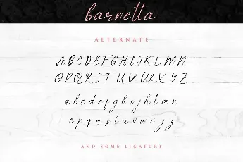 Barnetta Demo font