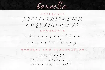 Barnetta Demo font