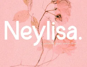 Neylisa font