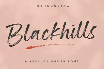 Blackhills – Textured Brush font