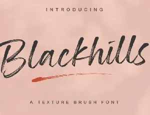 Blackhills – Textured Brush font