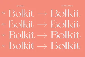 Bolkit font