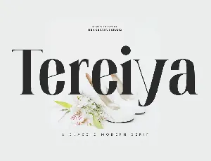 Tereiya Personal Use font