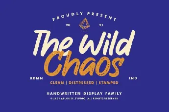 The Wild Chaos Display font