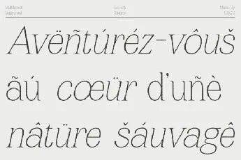 Leirent Stamp font