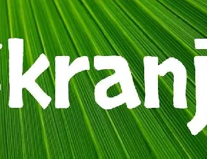 Skranji Family font