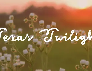 Texas Twilight font