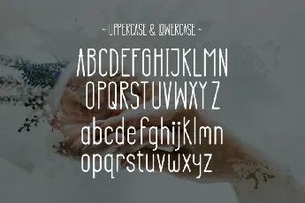 Renita font