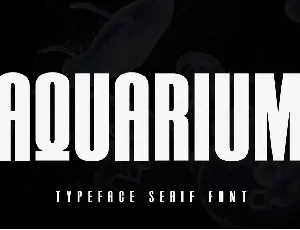 Aquarium Sans Serif Typeface font