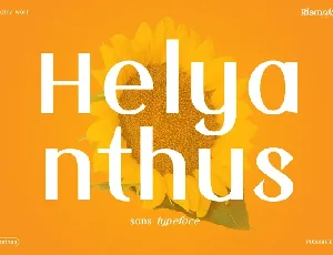 Helyanthus Sans font