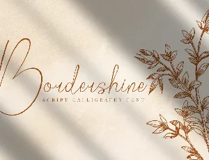 Bordershine Script font